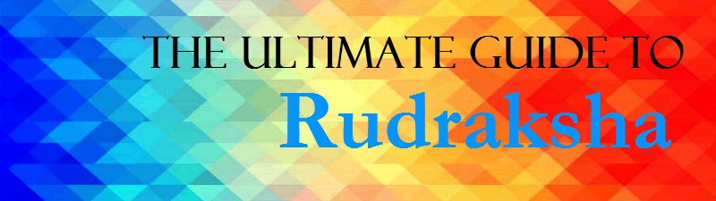 The Ultimate Guide to Select Rudraksha
